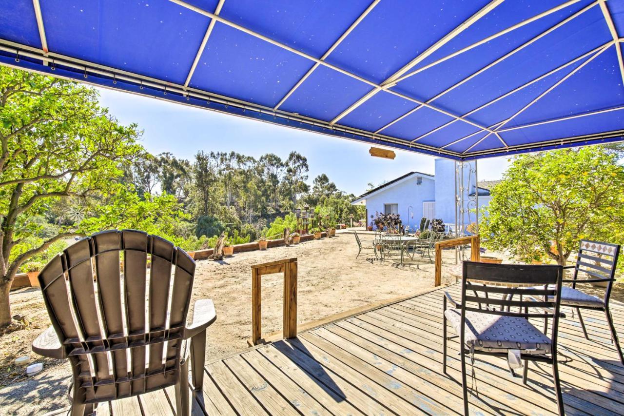 Sunny Bonita Studio About 5 Mi To Historic Dtwn! Exterior foto